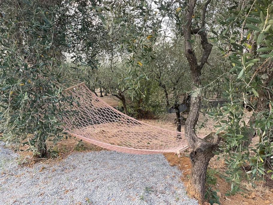 Il Fienile Di Alberto E Costanza Lucca Eksteriør billede