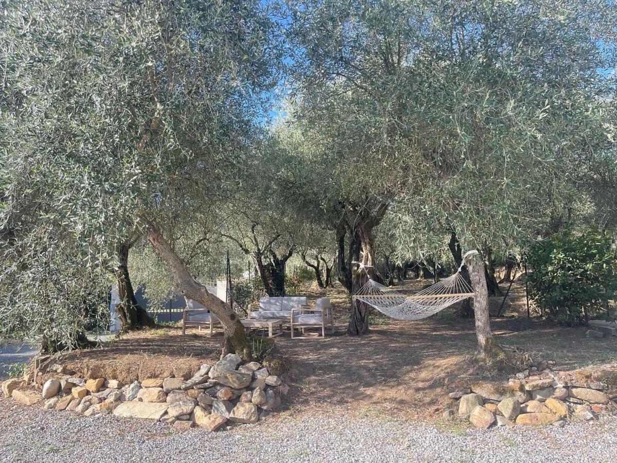 Il Fienile Di Alberto E Costanza Lucca Eksteriør billede